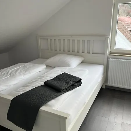 Unique Geraeumige 2 Zimmerwohnung In Mit Netflix, Sauna Und Fitness Apartment Tuttlingen