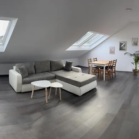 Apartment Unique Geraeumige 2 Zimmerwohnung In Mit Netflix, Sauna Und Fitness Tuttlingen